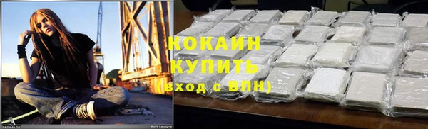 винт Дмитриев