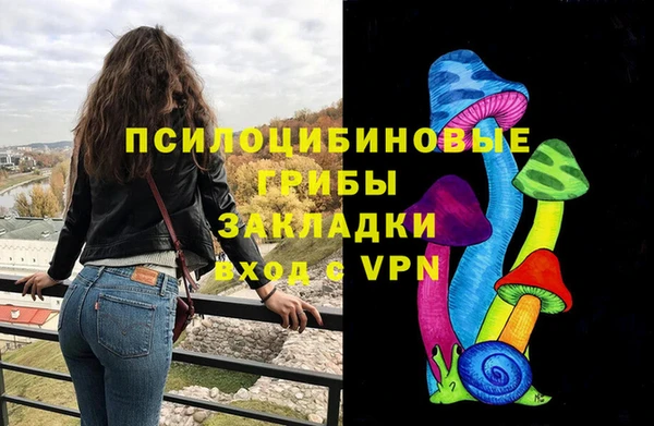 Альфа ПВП Дмитровск