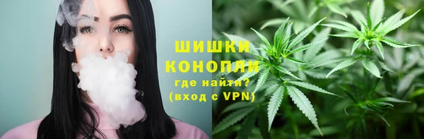Альфа ПВП Дмитровск