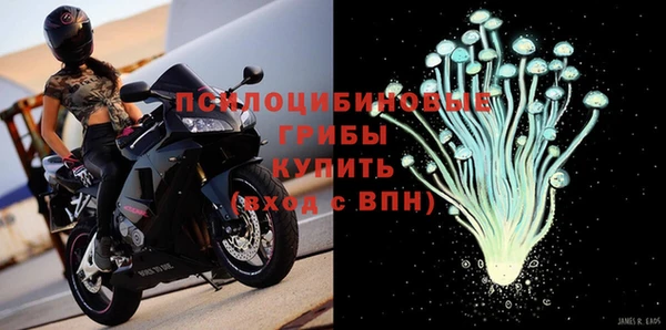 Альфа ПВП Дмитровск