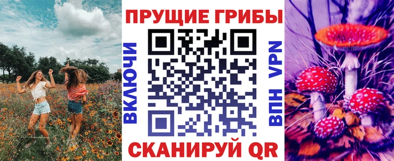 Псилоцибиновые грибы Psilocybine cubensis  ОМГ ОМГ маркетплейс  Реж  купить закладку 